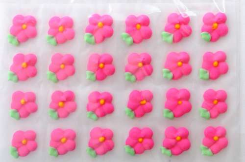 Pink Drop Flowers with Leaves - Click Image to Close